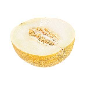 Seminte de pepene galben Clause Credo F1