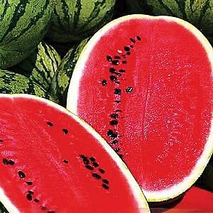 Seminte de pepene verde Hazera Ataman F1