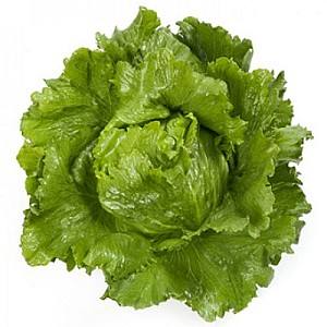 Seminte de salata Rijk Zwaan Santarinas RZ