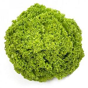 Seminte de salata Rijk Zwaan Aleppo RZ