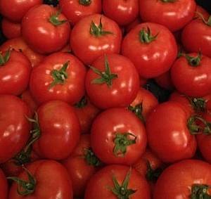 Seminte de rosii Rijk Zwaan Vasanta F1