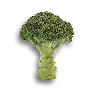 Seminte de broccoli Rijk Zwaan Agassi F1