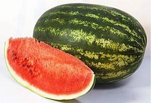 Seminte de pepene verde Kitano Seeds KS 163 F1