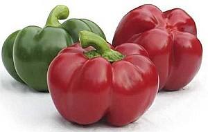 Seminte de ardei ZKI BIHAR F1