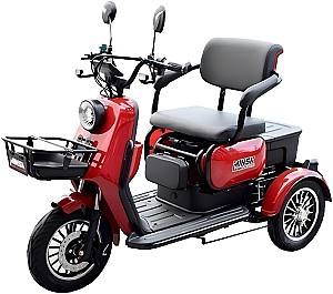 Электрический трицикл Minsk Electro MSD-025974 Red