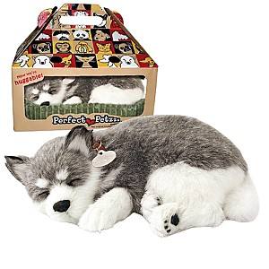 Jucarie de plus Perfect Petzzz Husky din Alaska 91-03