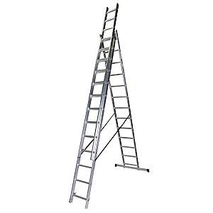 Scari Bisonte STR313