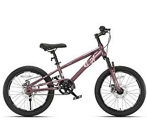 Bicicleta copii New World TN24Q22 Purple