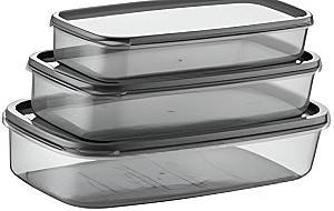 Set de recipiente alimentare Bee AK530