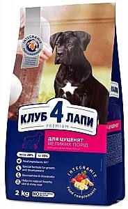 Сухой корм для собак Club4Paws Premium Puppies Large 2kg