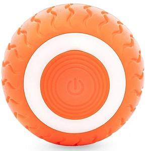 Jucarie pentru pisica Record Jumping Ball (6134.1)