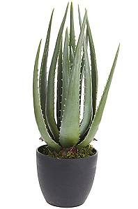 Flori artificiale Holland Aloe 45 cm