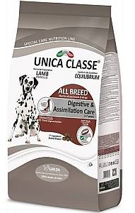 Hrana uscata pentru caini Gheda Unica Classe Digestive & Assimilation Care Lamb 3kg