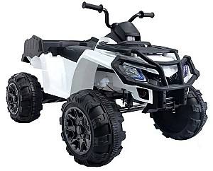 Электрический квадроцикл Lean Cars BDM 0909