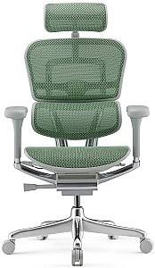 Fotoliu de birou Comfort Ergohuman Elite 2 Green