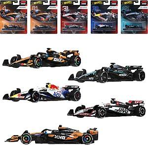 Masina jucarie Hot Wheels HRV11