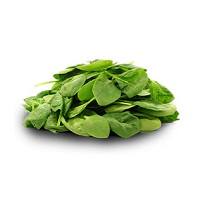 Семена пряных растений