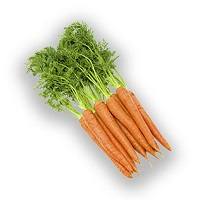 Семена моркови