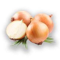 Семена лука