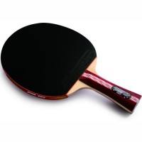 Ракетки для настольного тенниса