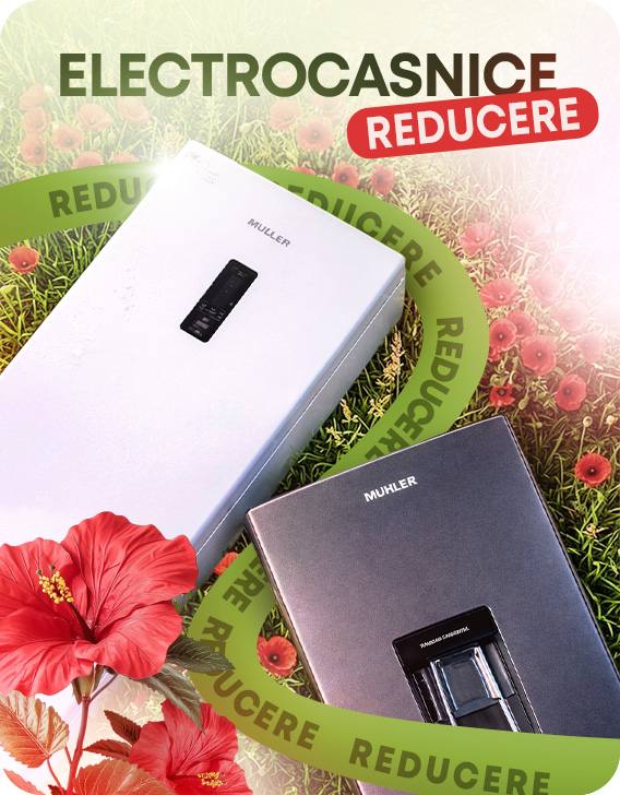 Descoperă ofertele sezonului