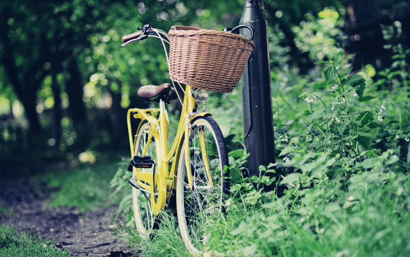 Cum să alegi bicicleta potrivită așteptărilor tale?