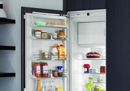 Un frigider bun, o familie fericită