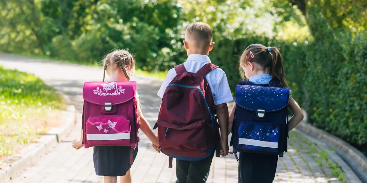 Как выбрать правильный и удобный рюкзак для ребенка?