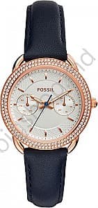 Наручные часы FOSSIL ES4052