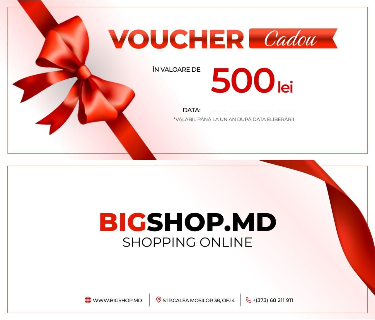 Voucher Bigshop 500