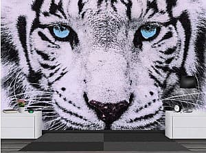3D Фотообои Art.Desig Тигр крупным планом
