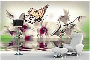 3D Фотообои Art.Desig  Белая орхидея на воде
