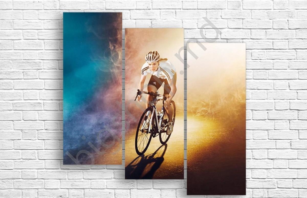 Модульная картина Art.Desig КАТАТЬСЯ НА ВЕЛОСИПЕДЕ