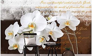 Fototapet 3d Art.Desig  Orhidee pe fundal vintage cu text