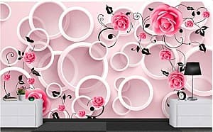 3D Фотообои Art.Desig Кольца на розовом фоне