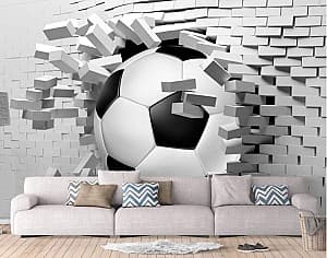 Fototapet 3d Art.Desig Peretele spart cu o minge de fotbal