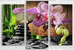 Tablou multicanvas Art.Desig ORCHIDEE 3