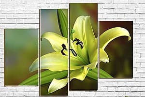 Tablou multicanvas Art.Desig Floare Lilia