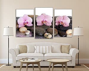 Tablou multicanvas Art.Desig ORCHIDEE 8