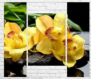 Tablou multicanvas Art.Desig Orhidee galbena_1