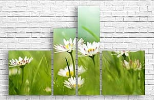Tablou multicanvas Art.Desig Câmpul de camomile