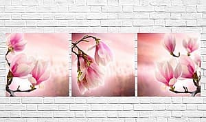 Tablou multicanvas Art.Desig Magnolia în floare