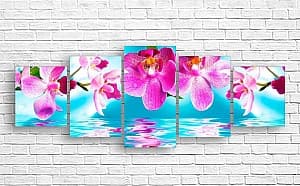 Tablou multicanvas Art.Desig Orhideea de asupra apei