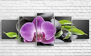 Модульная картина Art.Desig Орхидея и черные камни