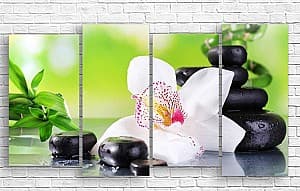 Модульная картина Art.Desig Черные камни с бамбуком и белая орхидея