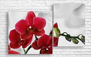 Модульная картина Art.Desig Бордовая орхидея на сером фоне