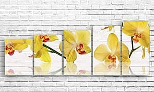 Tablou multicanvas Art.Desig О orhidee galbenă pe fundal de lemn