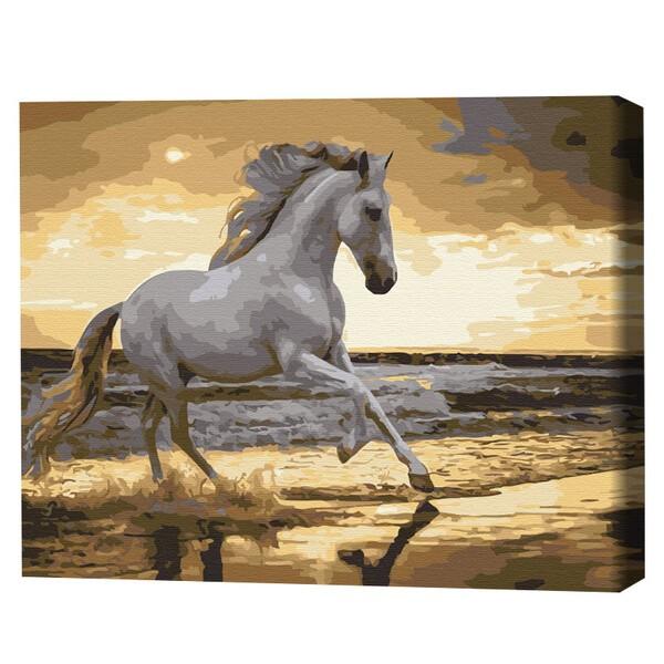 Tablou pe numere BrushMe Trapând pe coastă 40×50 cm (în cutie)