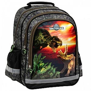 Рюкзак Derform Dinosaurs PL15BDN18