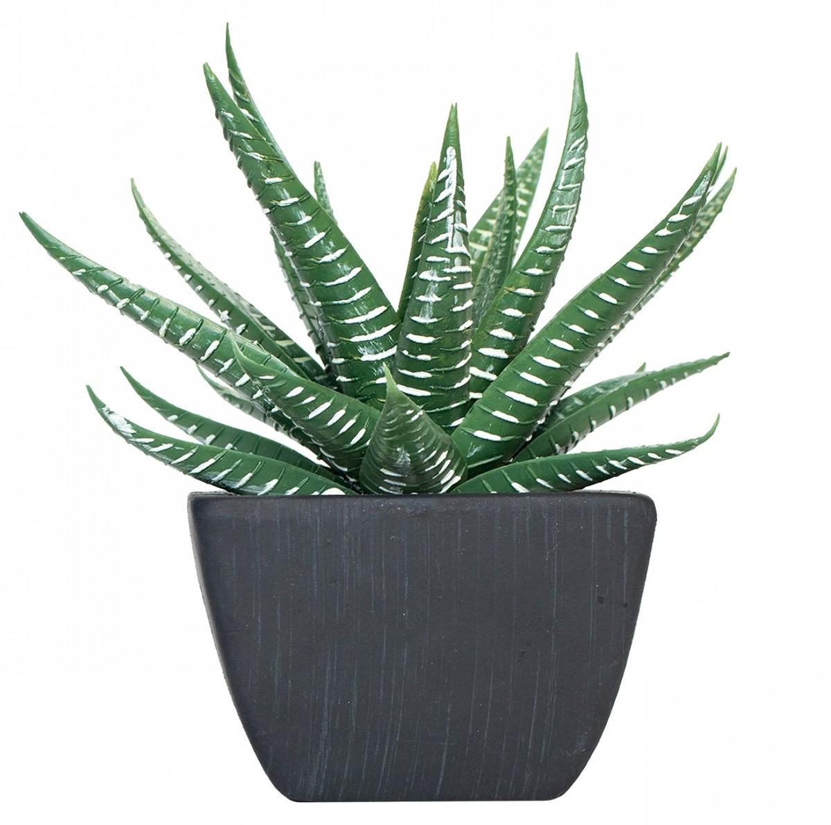 Flori artificiale Casa Masa Aloe în ghiveci 10x12 cm